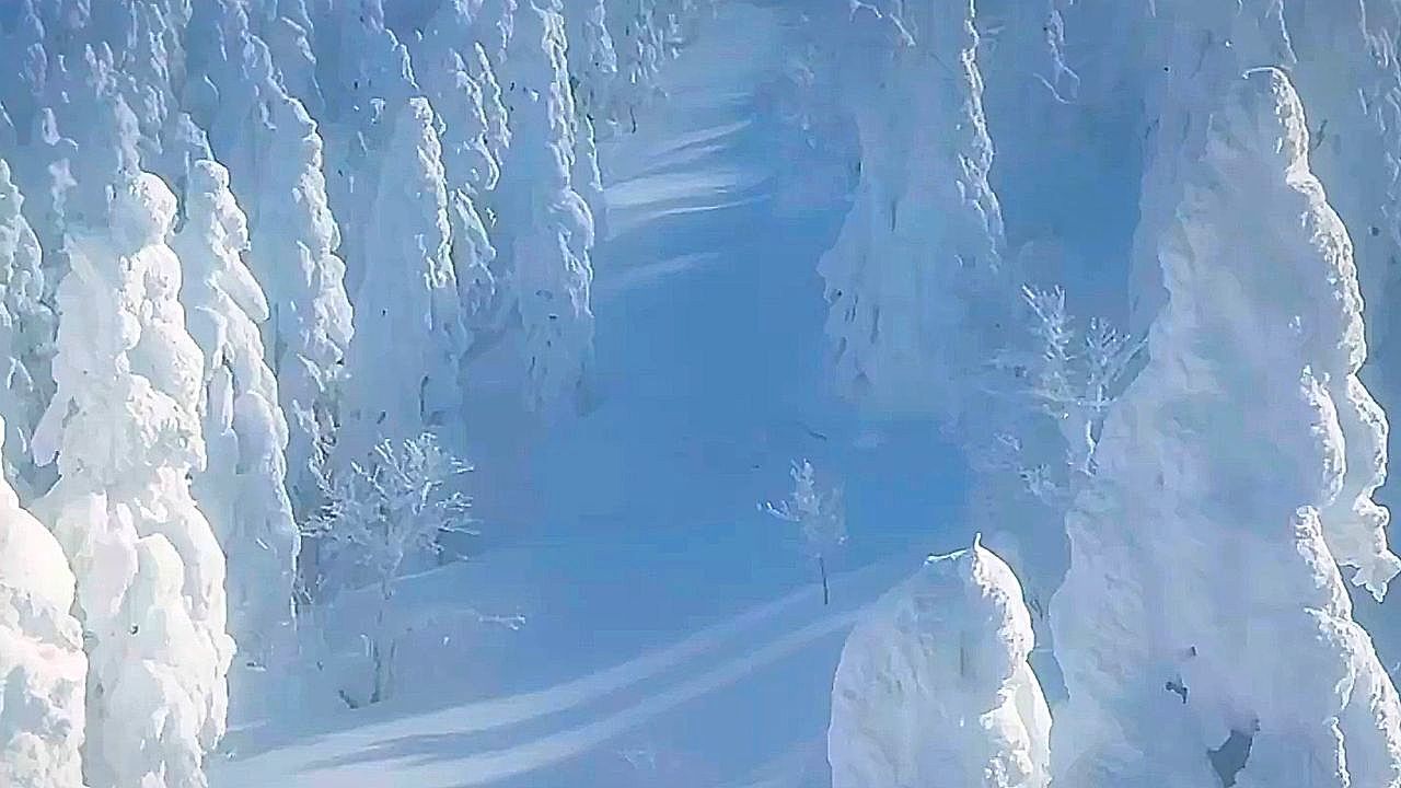 Video: Rare “Snow Monsters” emerge on Japan's Mount Zao after deep freeze