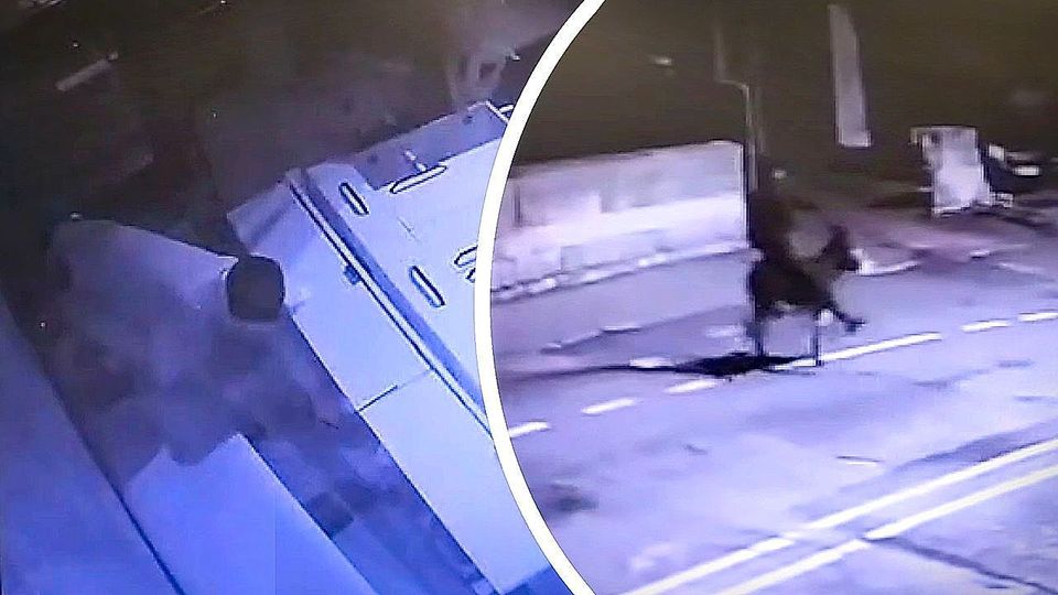 Flucht-Tier: Einbrecher macht sich mit Gold auf Esel davon