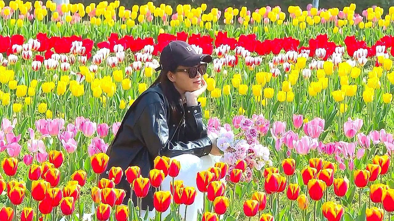 Video: Spring flower blooms draw crowds to China's countryside