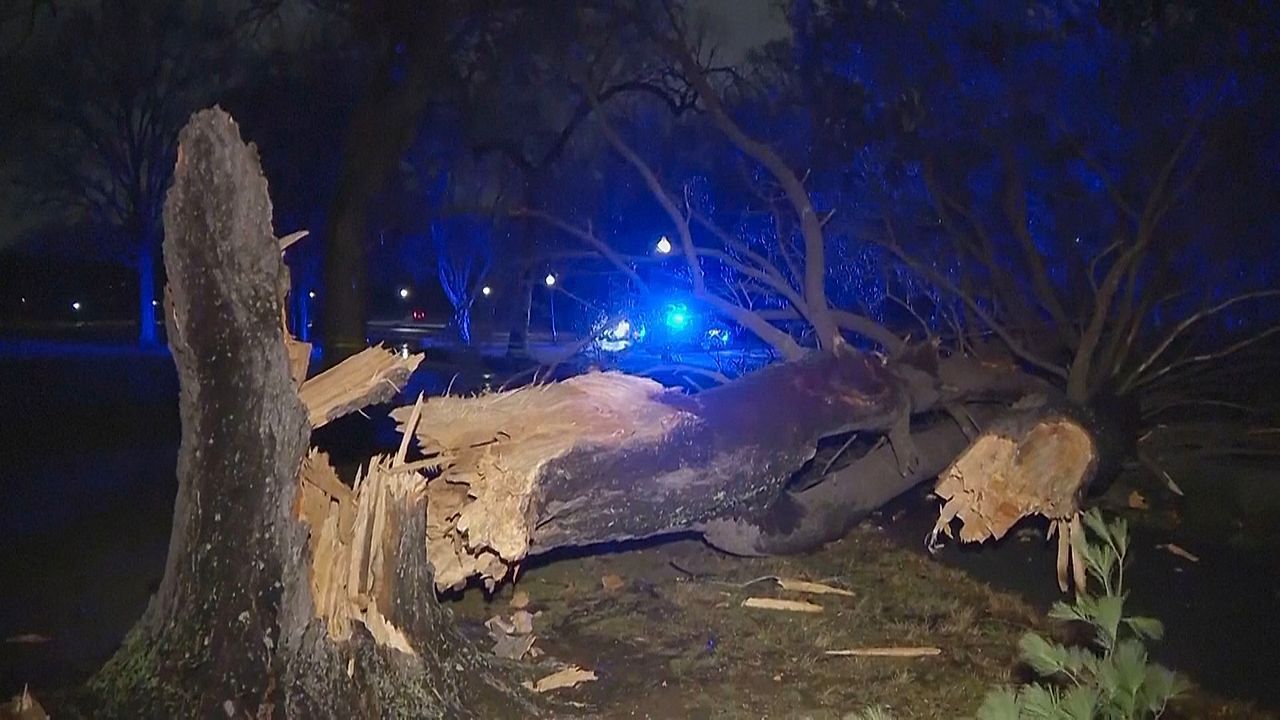 Video: Heftiger Sturm in den USA – Tornadowarnungen und Schäden an Ostküste