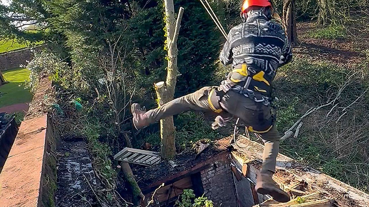 Video: Unsinn nach Feierabend: Baumpfleger kracht fast in Schuppen