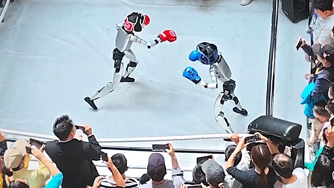 Video: K.O. statt KI: Roboter sorgen im Boxring für Lacher