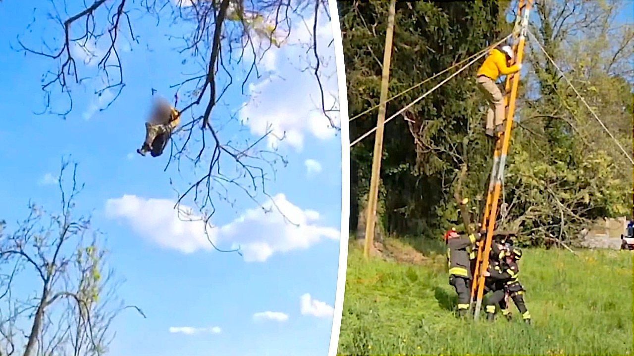 Video: Paraglider left hanging in trees as rescue teams race into action