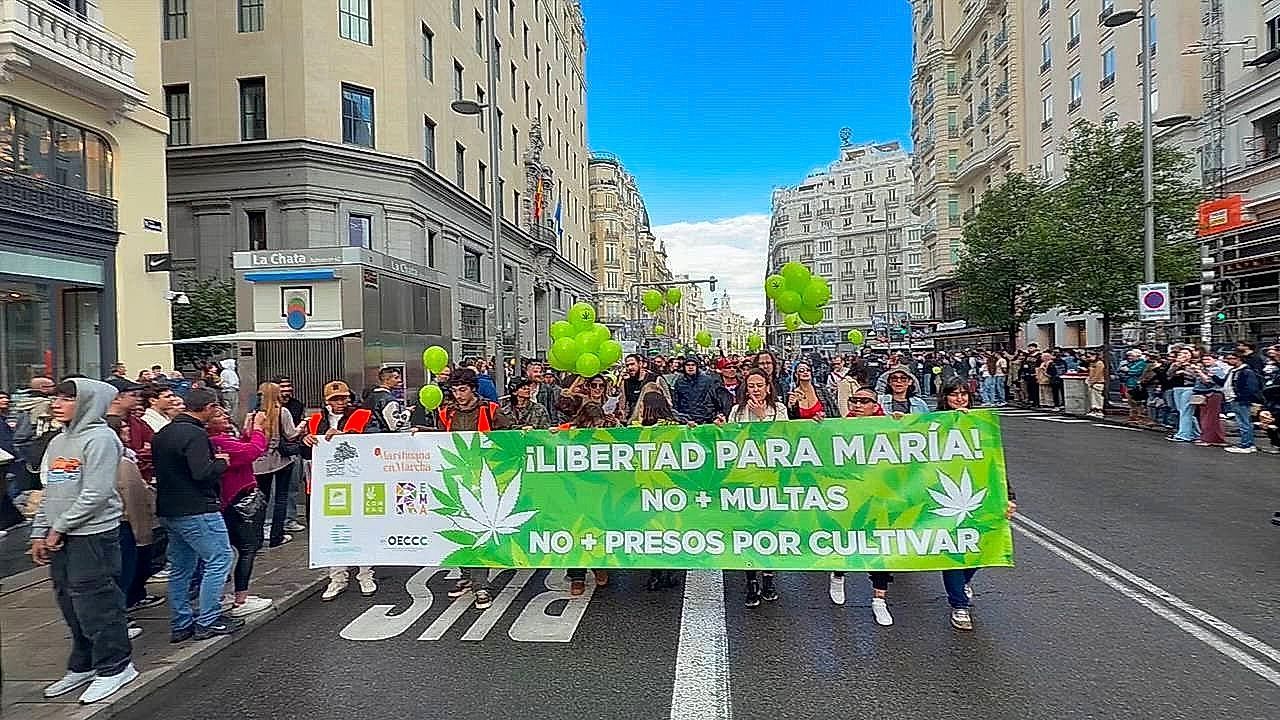 Video: Hundreds march down Madrid's Gran Via demanding cannabis legalization