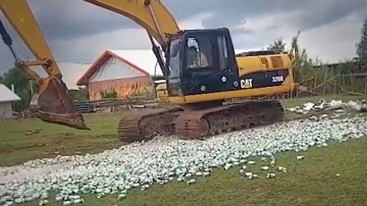 Video: Alkohol ohne Papiere: Bagger zerquetscht Tausende illegale Bierdosen