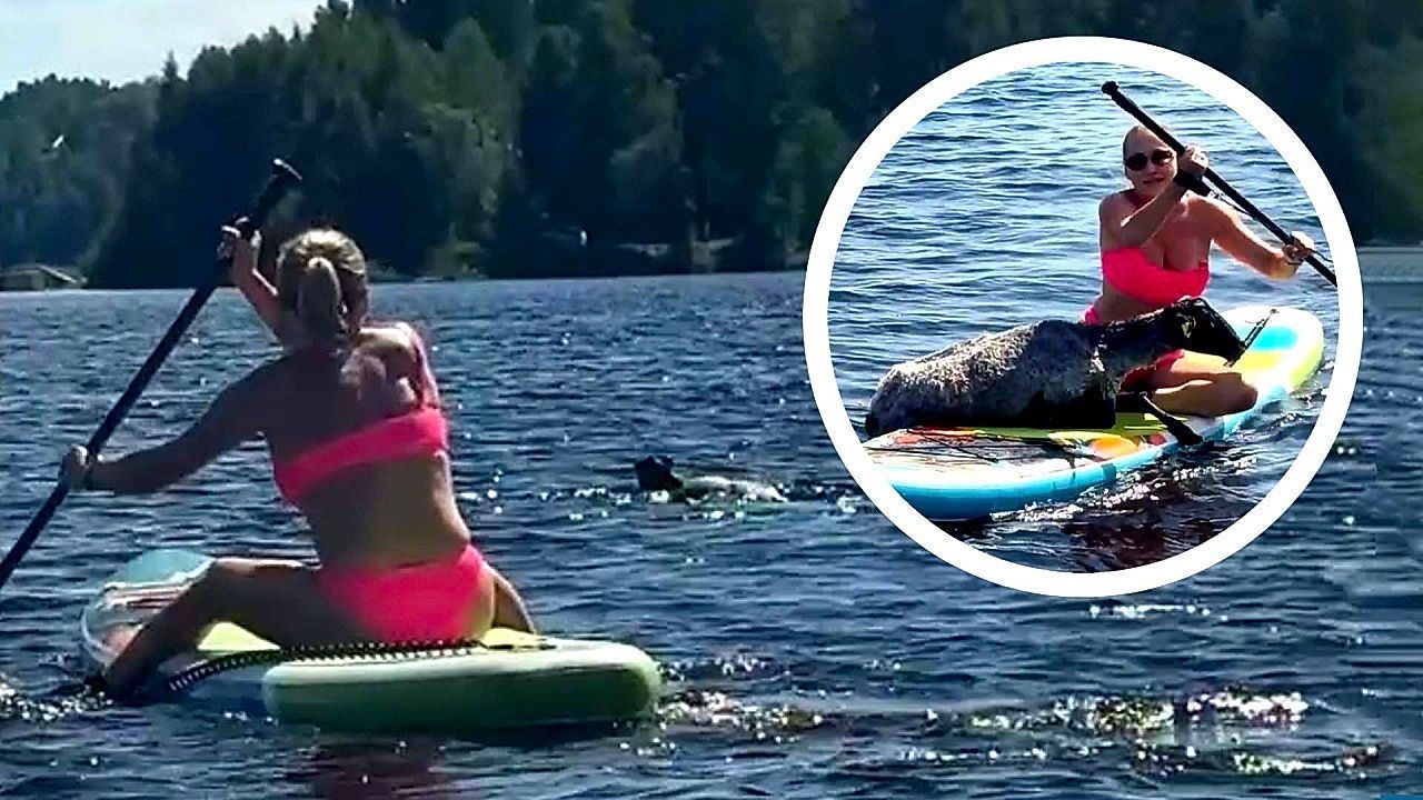 Video: Rettung mit Paddleboards: Mutter und Tochter ziehen Schaf aus dem Wasser