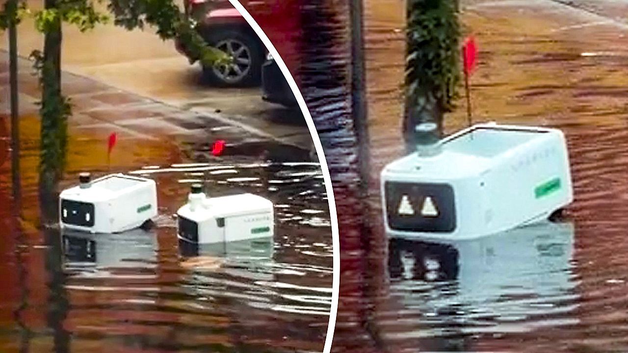Video: Möglicherweise falschen Job gewählt: Zwei Lieferroboter stranden in überfluteter Straße