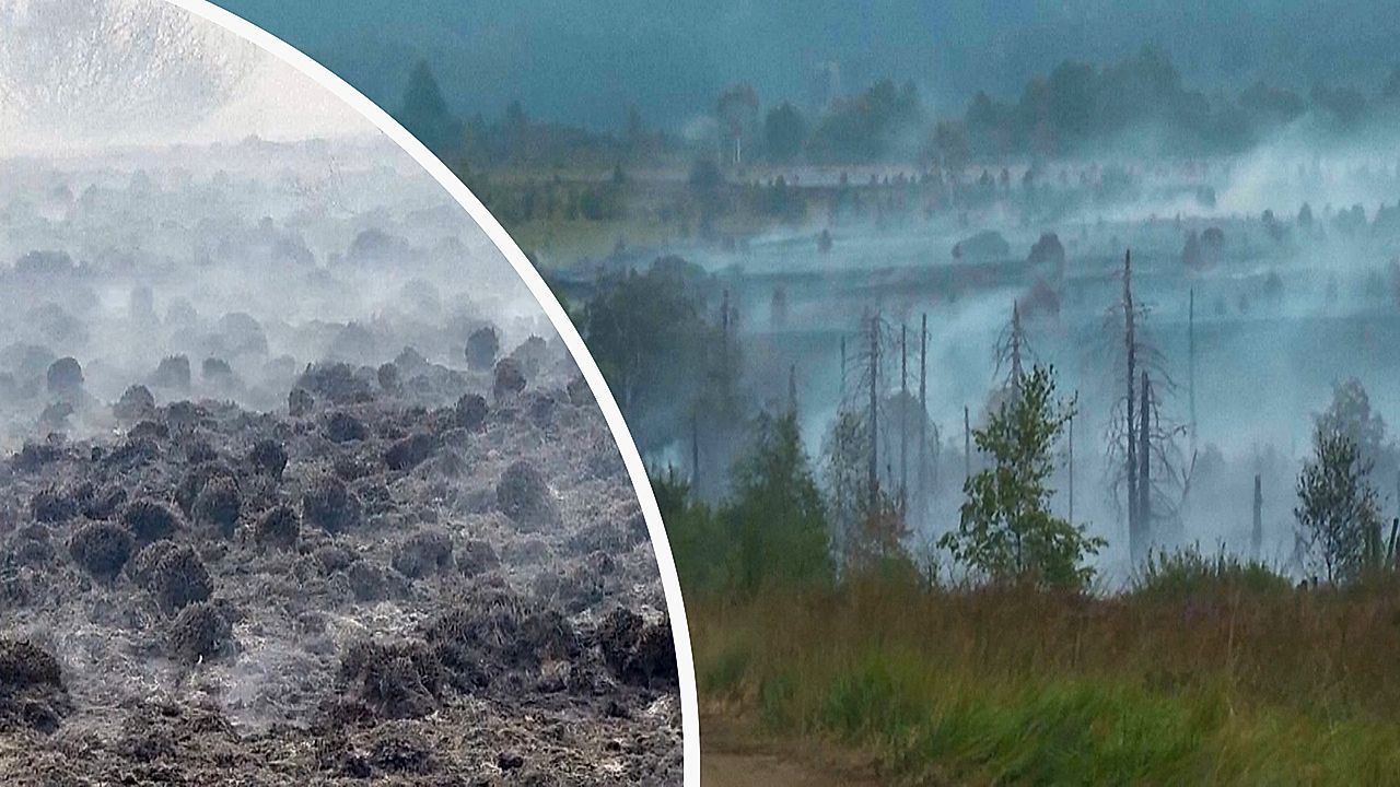 Video: Gefährlicher Moorbrand in Belgien: Feuer könnte monatelang weiterlodern