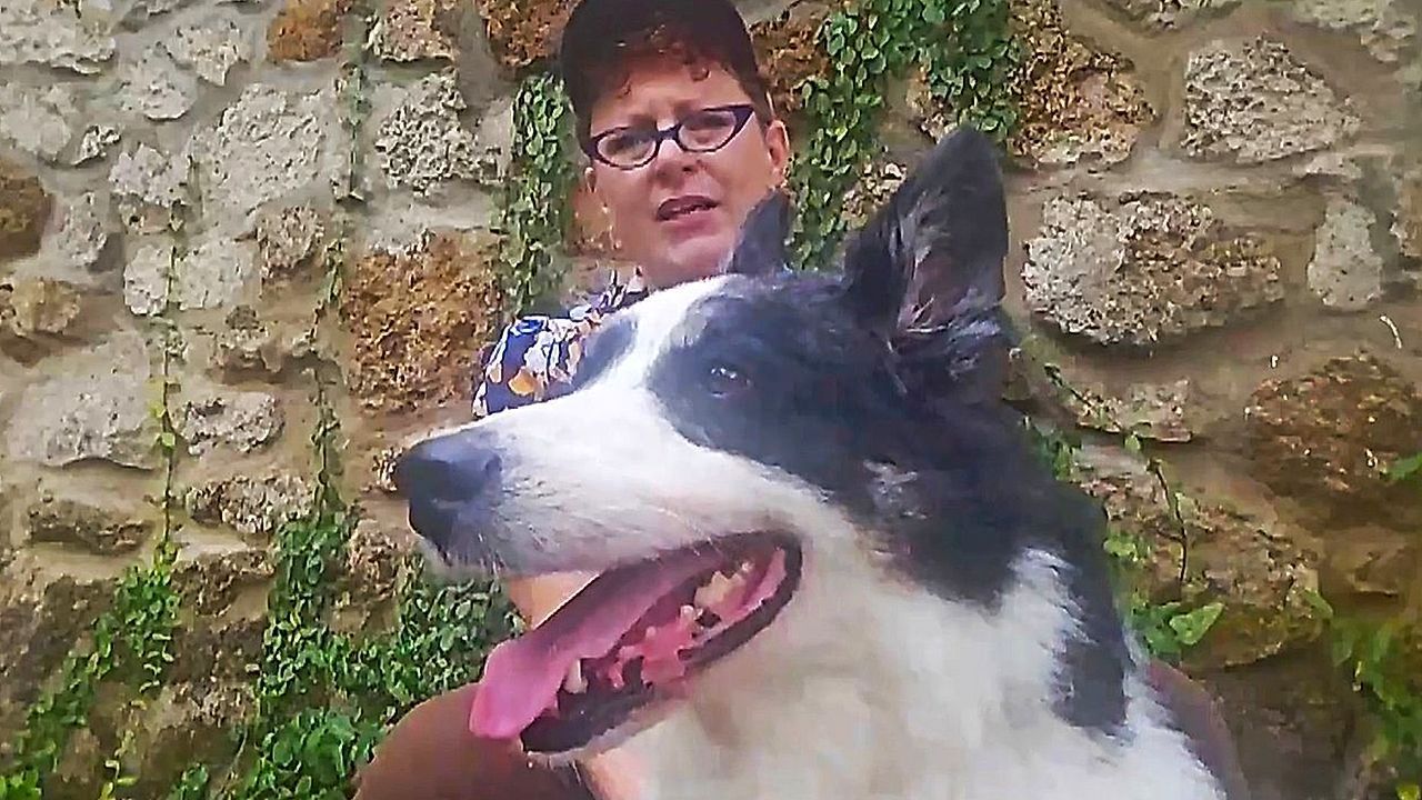 Video: Wunder nach zwei Wochen: Vermisster Hund taucht 1.770 Kilometer entfernt wieder auf