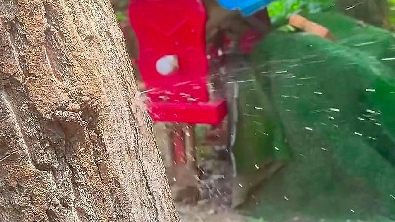 Video: Natürlicher Springbrunnen: Flüssigkeit spritzt aus Pappelstamm in China