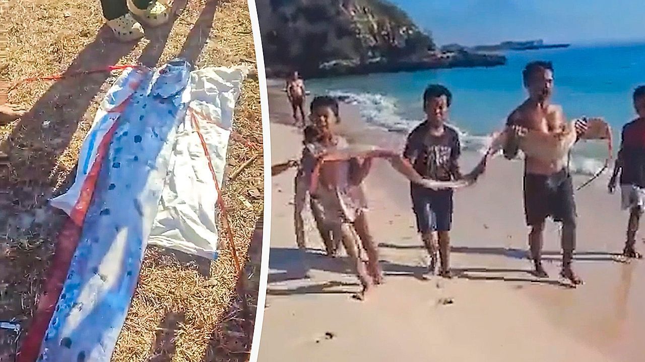 Video: „Unglücksbote“ aus der Tiefe: Seltener Riemenfisch in Indonesien gefunden