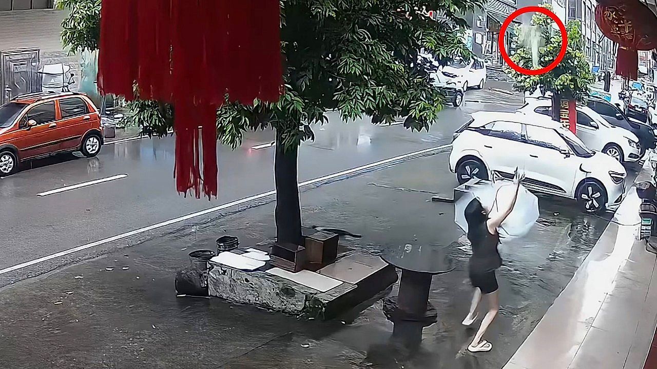 Video: Freier Fall in Regenschirm: Katze stürzt von Haus – Frau greift blitzschnell ein