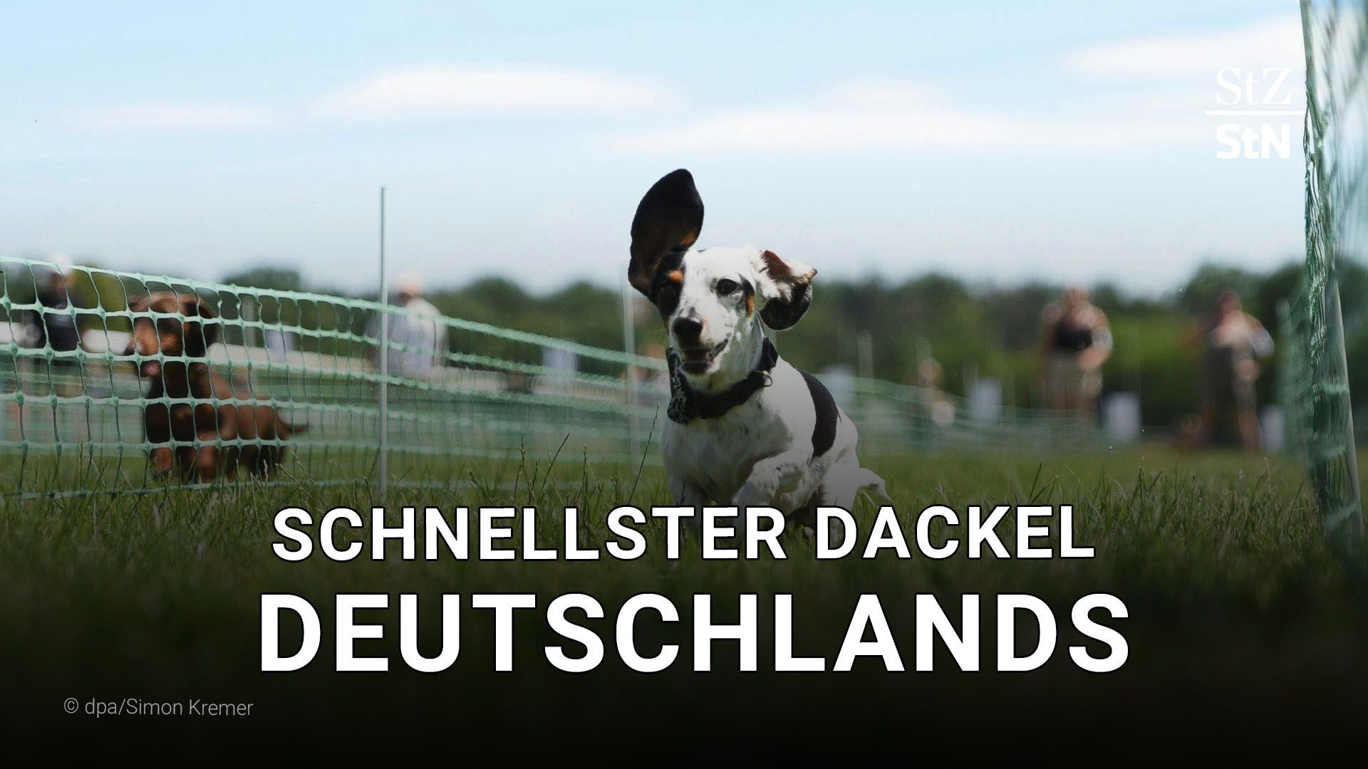 Schnellster Dackel Deutschlands