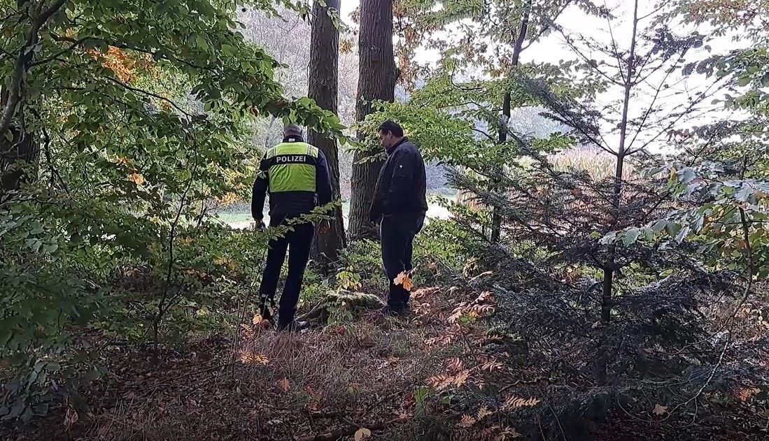 Video: Horror-Fund im Wald: Spaziergänger entdeckt menschliche Überreste