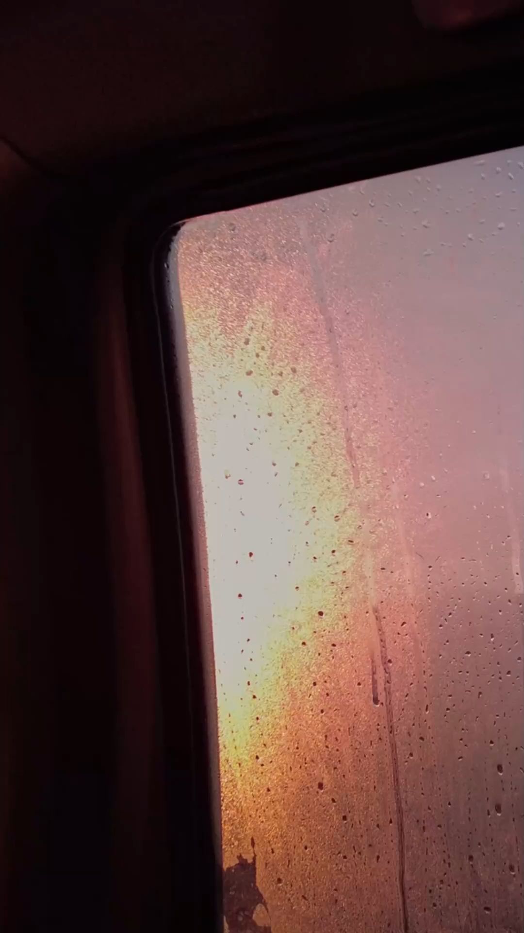 Does this really help? Rice as a dehumidifier in the car