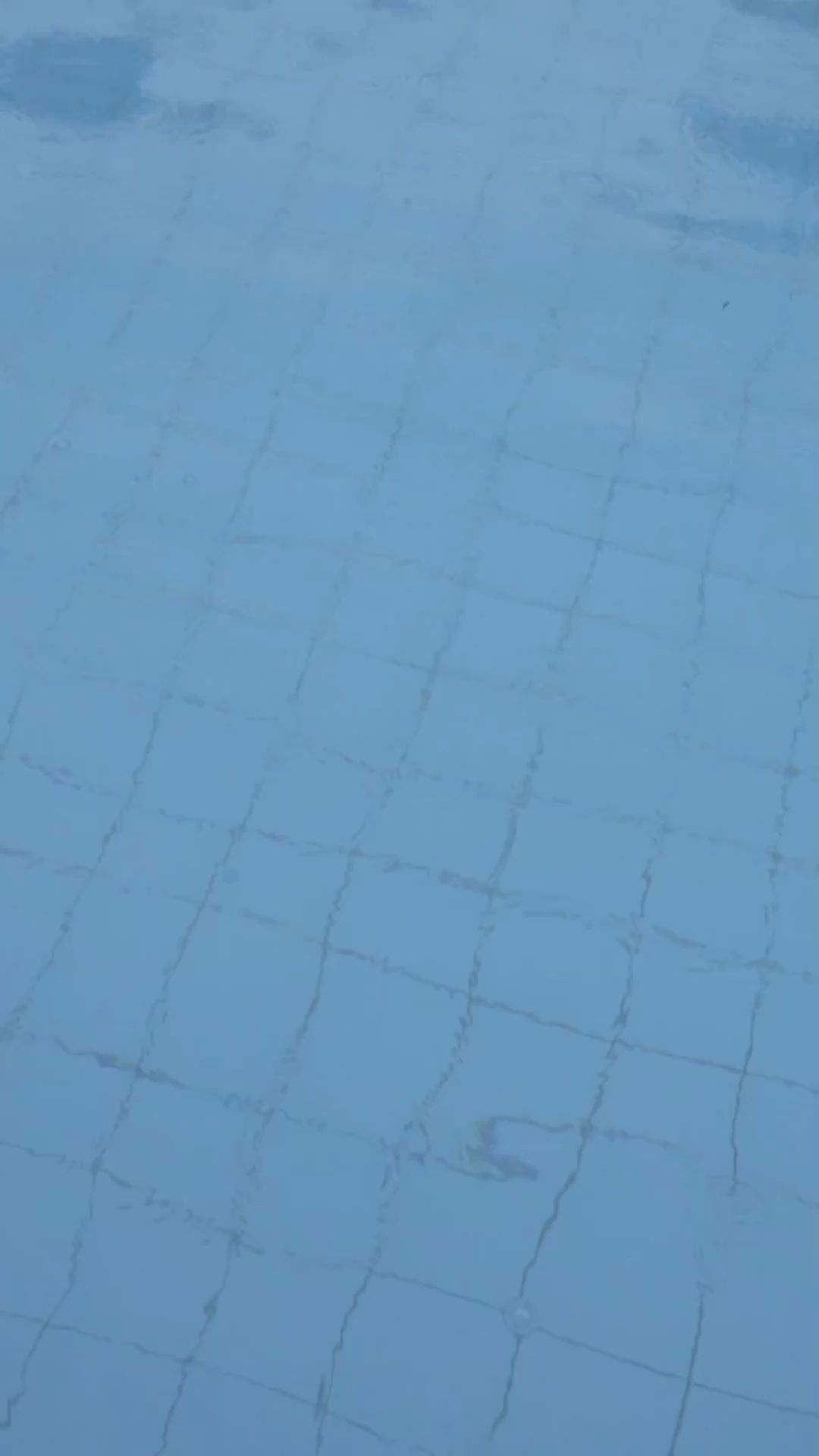 Why should you not wear blue swimwear?