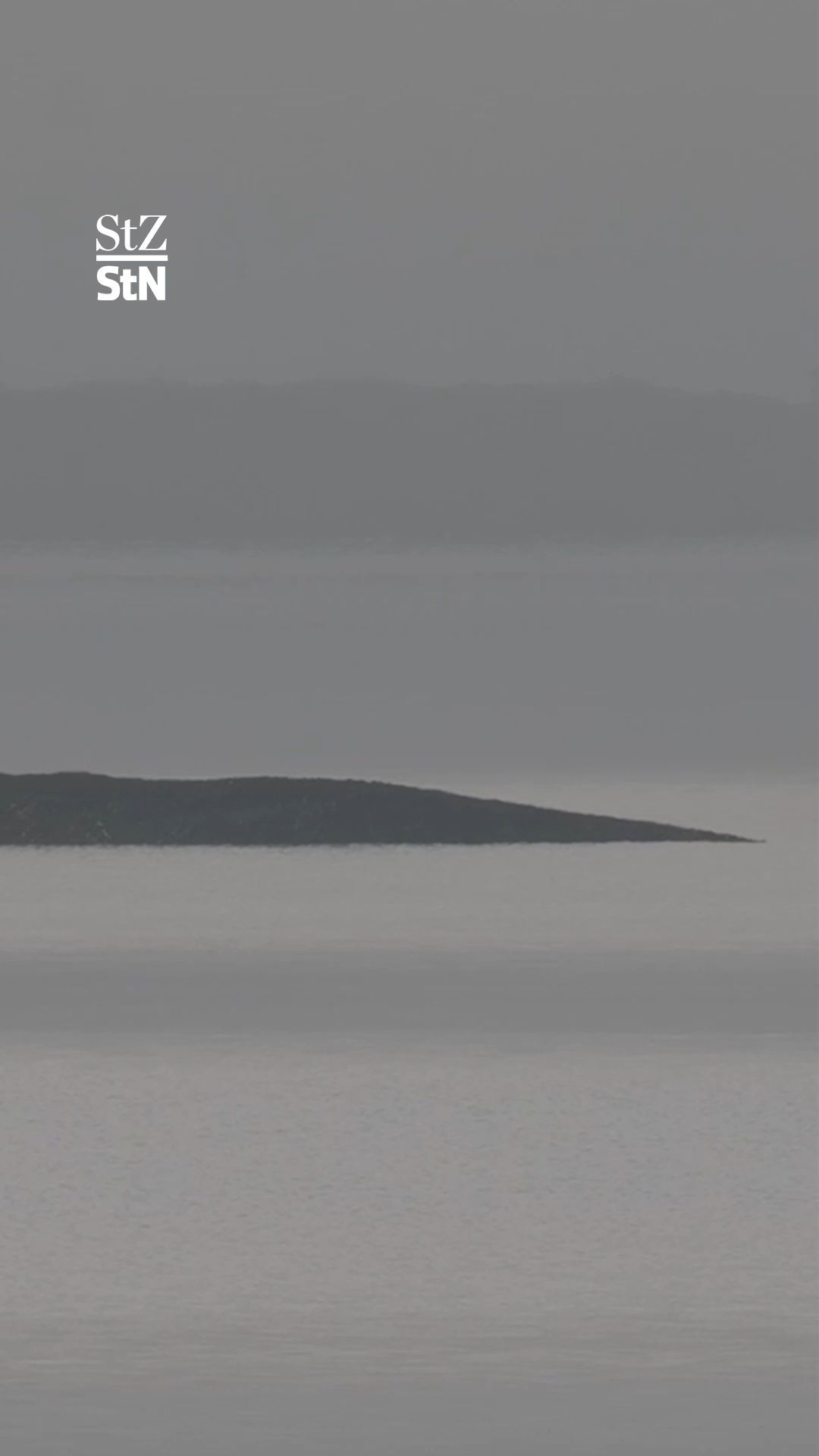 Video: Rettungsversuche für Wal vor Wismar werden eingestellt