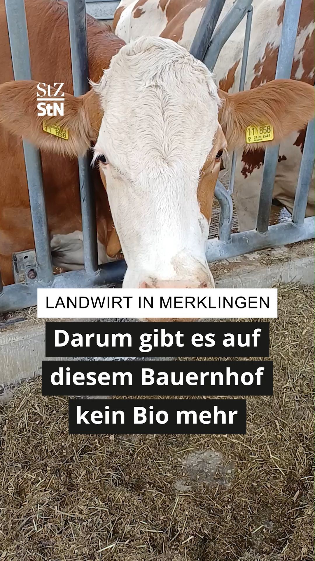 Video: Landwirt in Merklingen - Darum gibt es auf diesem Bauernhof kein Bio mehr