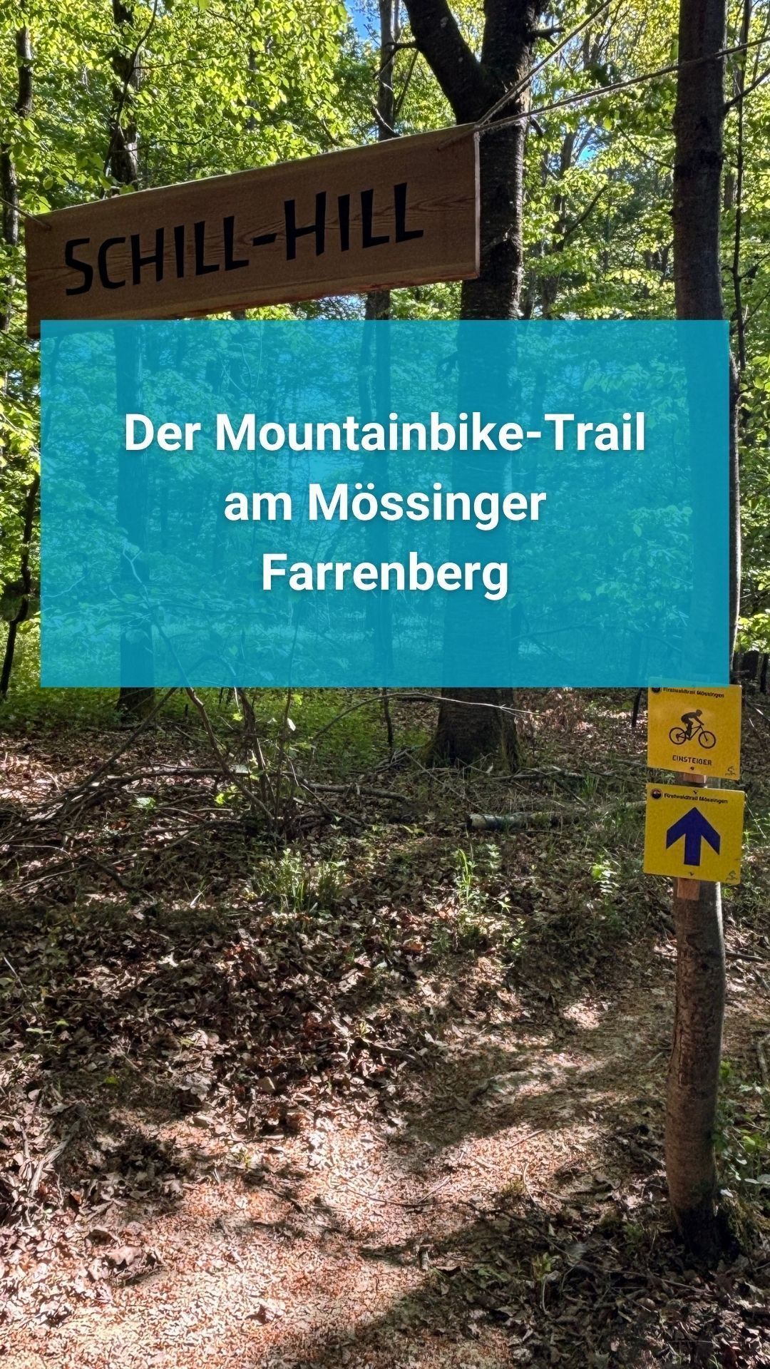 Video: Der Mountainbike-Trail am Mössinger Farrenberg