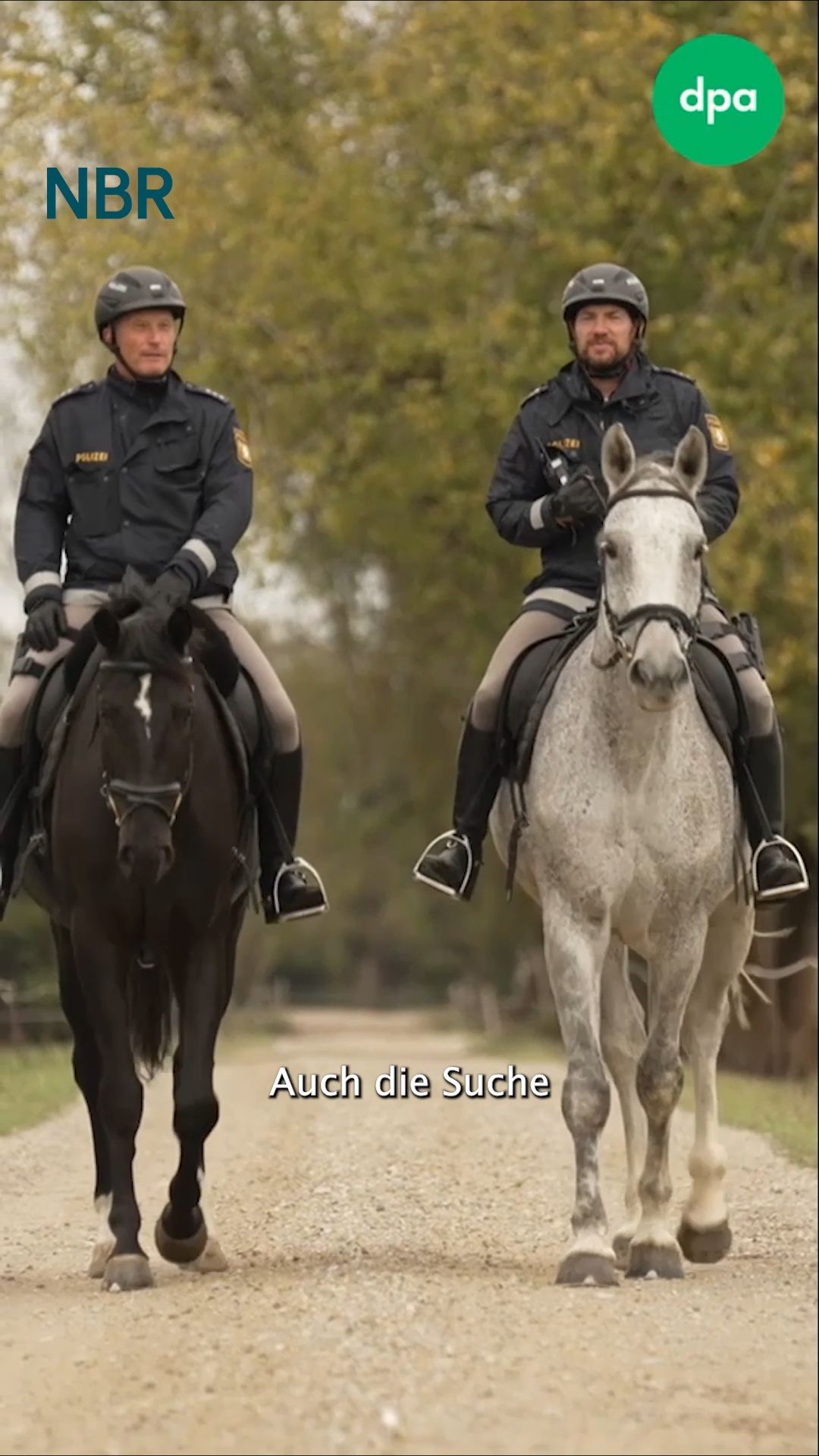 Video: Pumaverdacht: Reiterstaffel sucht nach Raubkatze