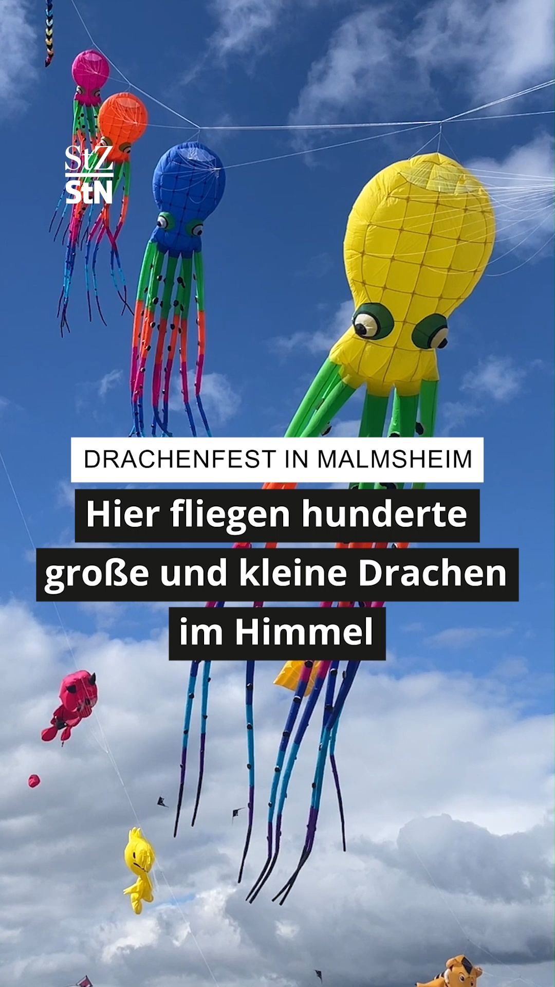 Video: Drachenfest in Malmsheim: Krokodile, Minions und Donkey Kong am Himmel