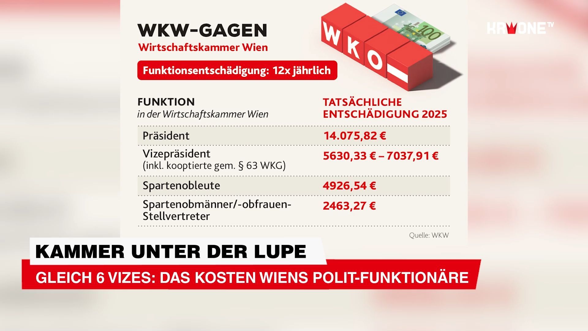 Video: Gleich 6 Vizes: Das kosten Wiens Polit-Funktionäre