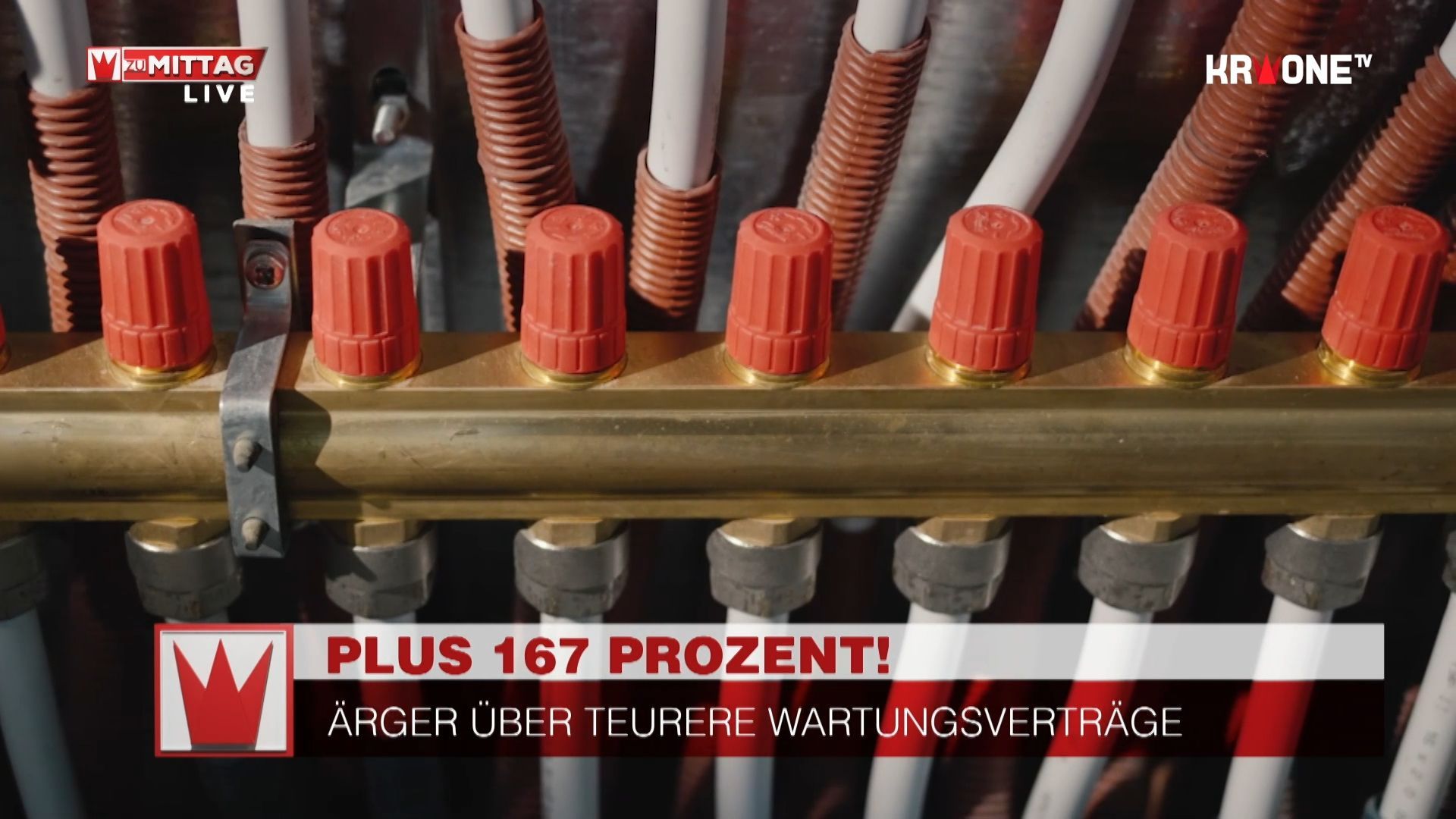 Nurse under suspicion of murder, Lugner on WKO wages