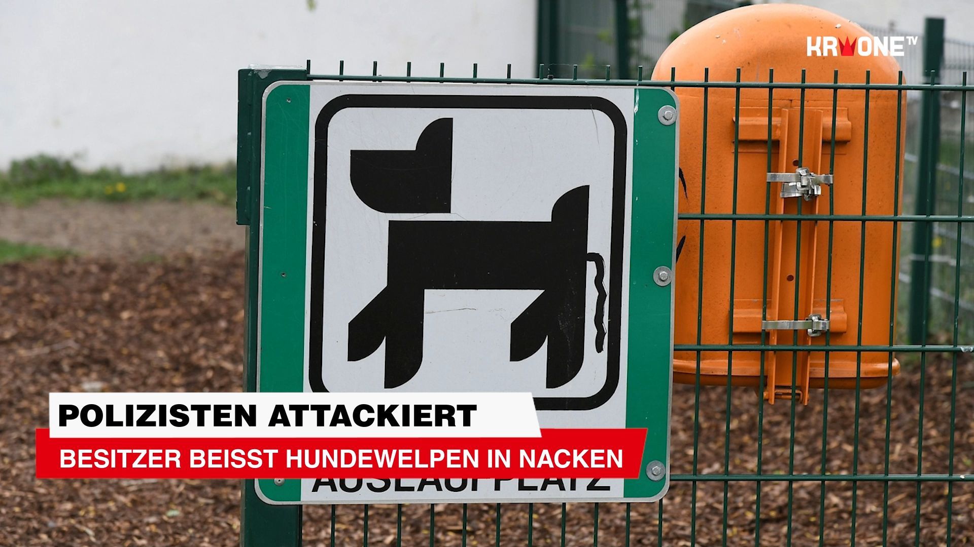 Video: Polizisten attackiert ++ Aggressiver Besitzer beißt Hundewelpen in Nacken
