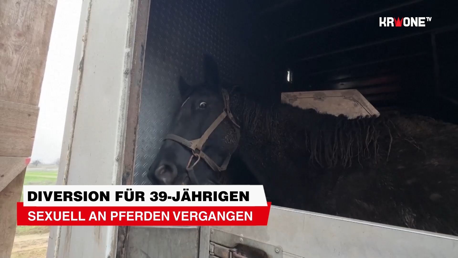 Video: Diversion für Tiroler: Sexuell an Pferden vergangen