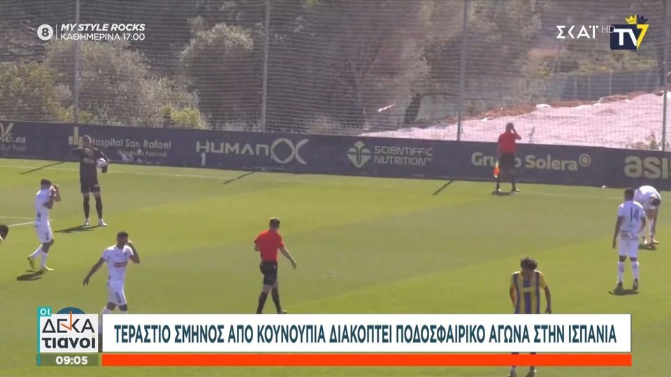 Σκηνές… αποκάλυψης στην Ισπανία: Τεράστιο σμήνος από κουνούπια διέκοψε αγώνα (VID) 