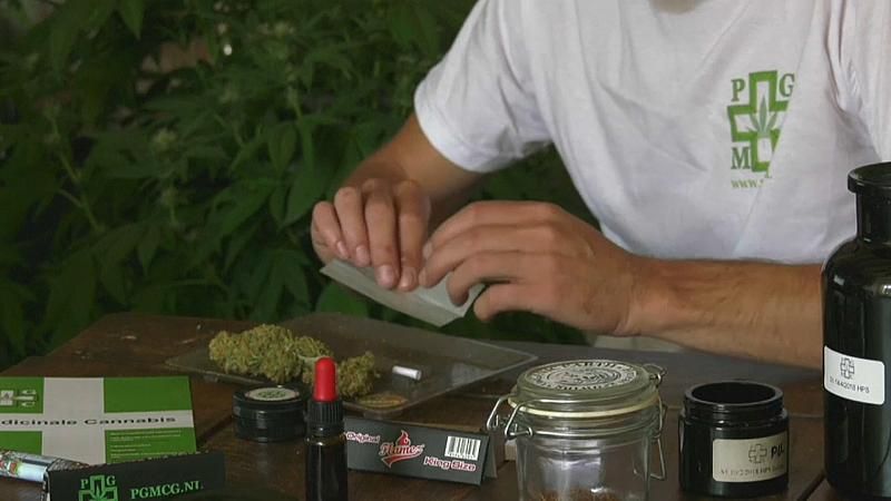 Italien legalisiert Cannabis-Anbau zu Hause