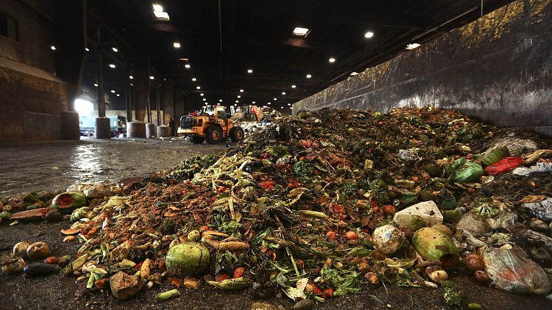 19 % der Lebensmittel landen im Müll - UNO sagt Verschwendung den Kampf an