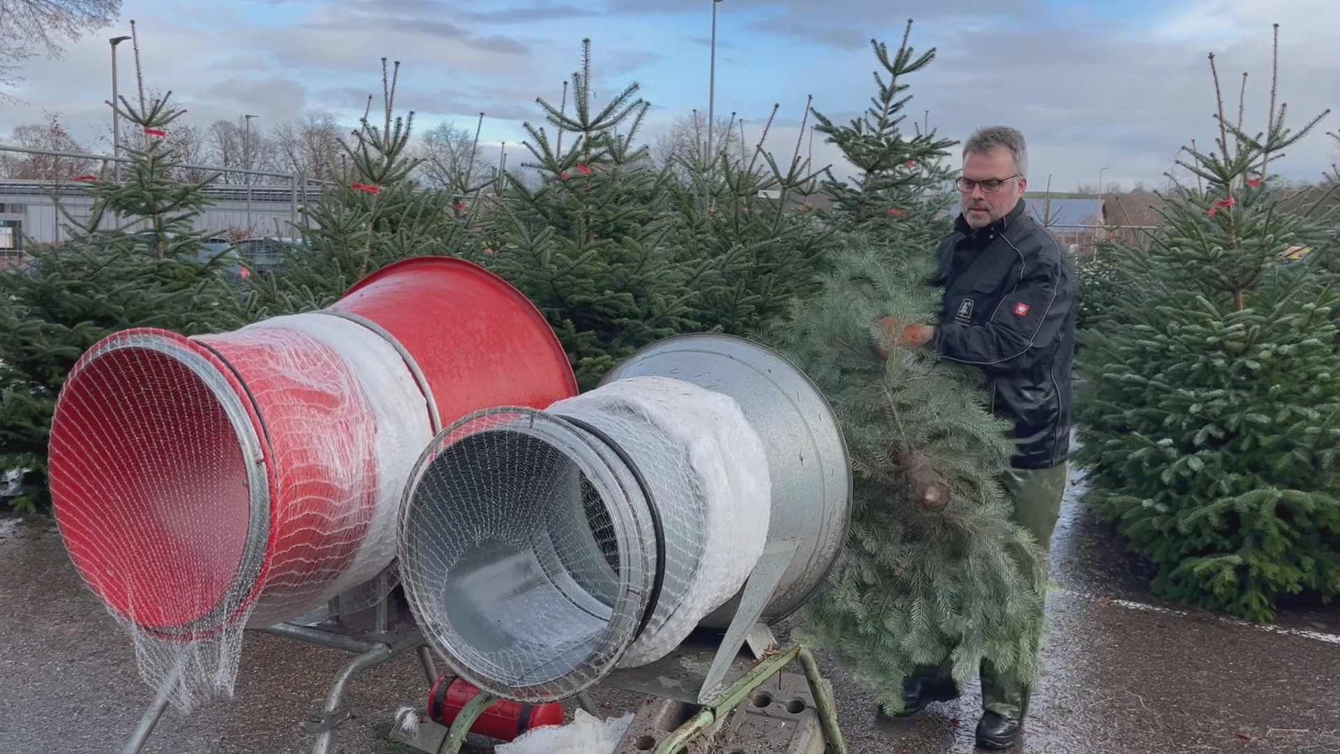 Wie nachhaltig ist Ihr Weihnachtsbaum? - Umfrage in Pfaffenhofen