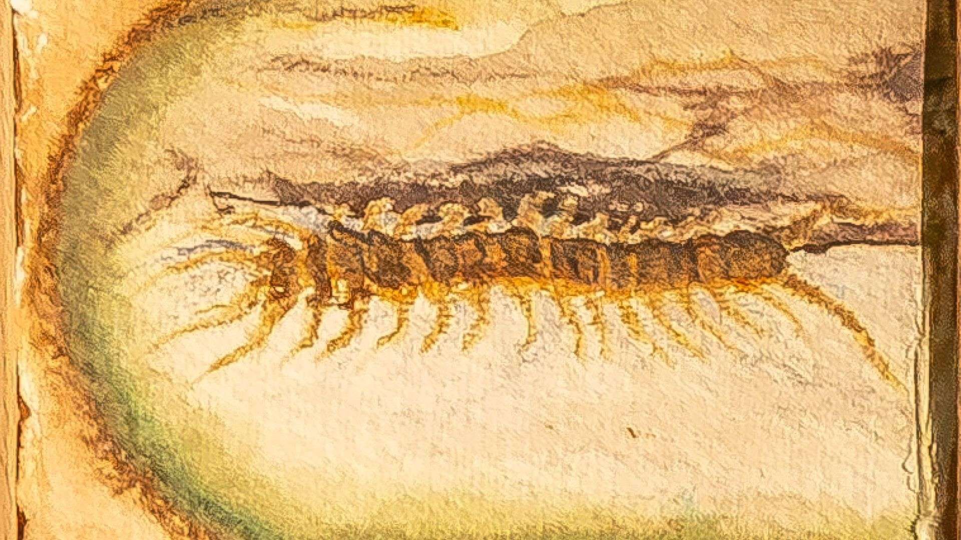 Julie De Kezel: Eine junge Künstlerin auf Burg Ranfels