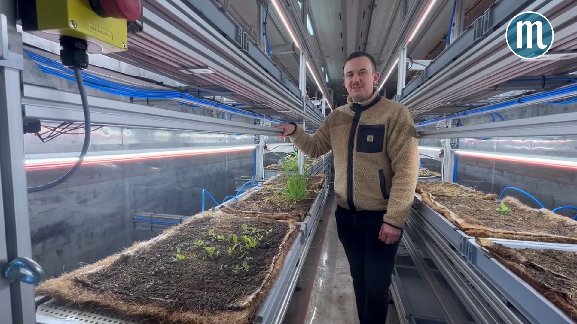 Der Technologie Campus Parsberg-Lupburg erforscht, wie Unkräuter ohne Gift bekämpft werden können.