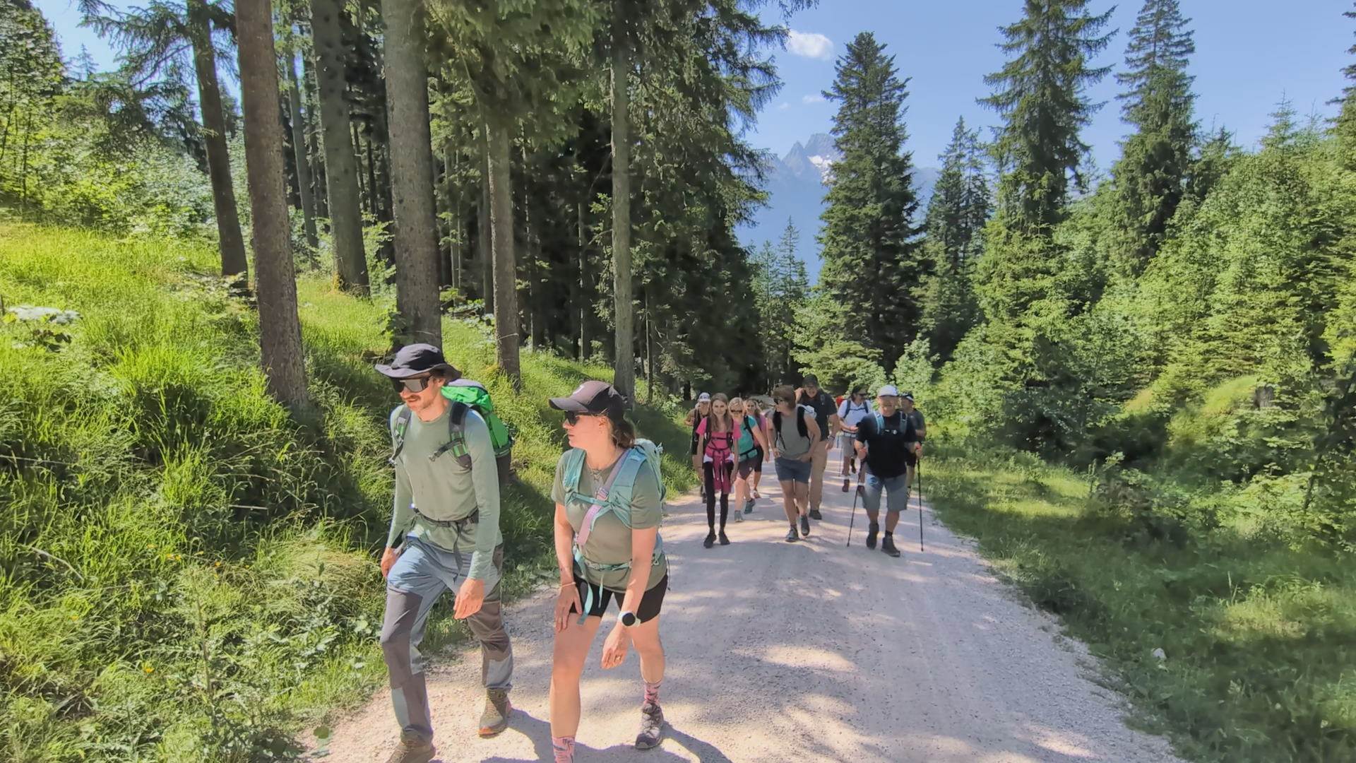 Video: Beim Wandern die Almwirtschaft kennenlernen