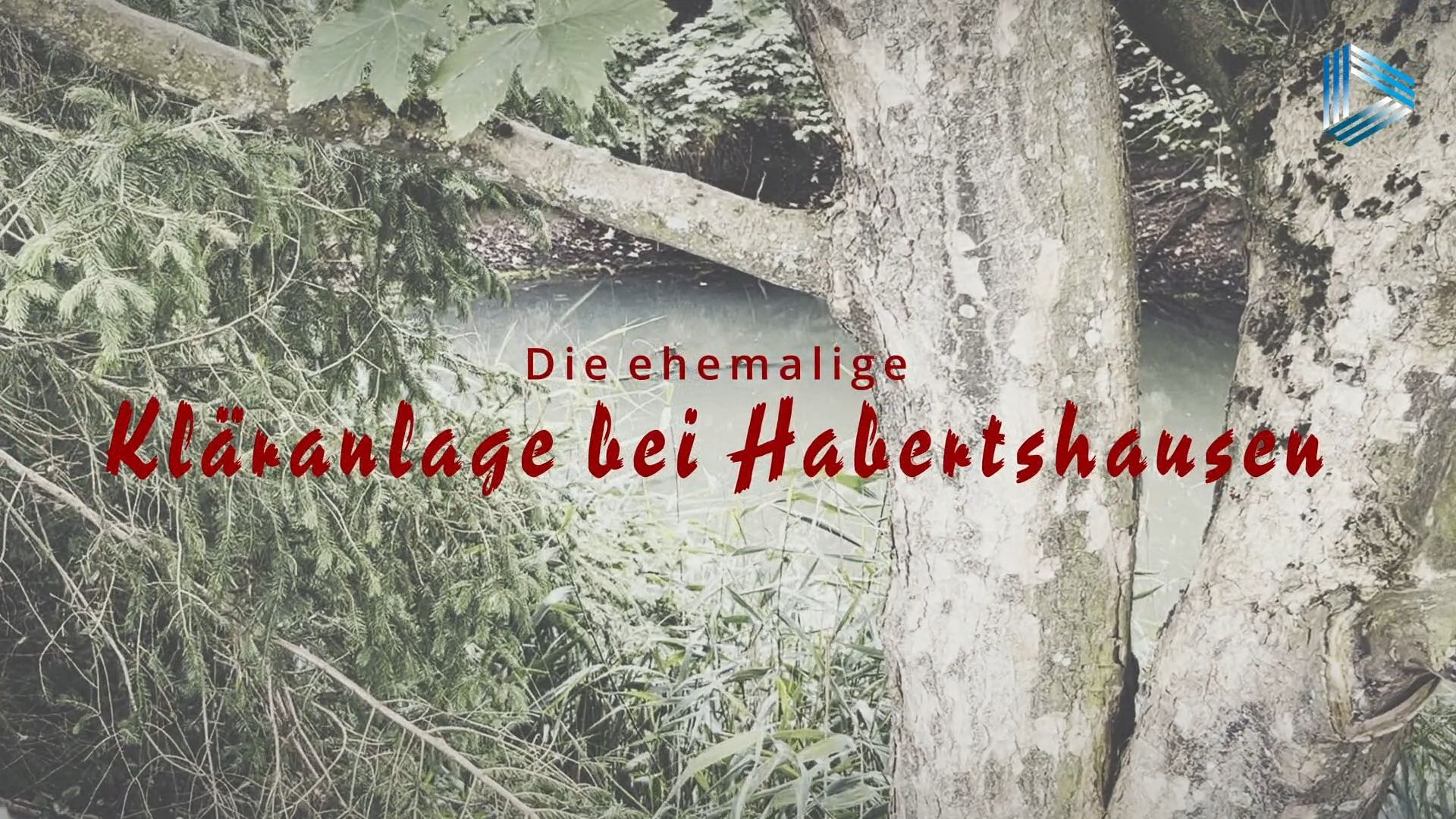Spooky: The former sewage treatment plant at Habertshausen