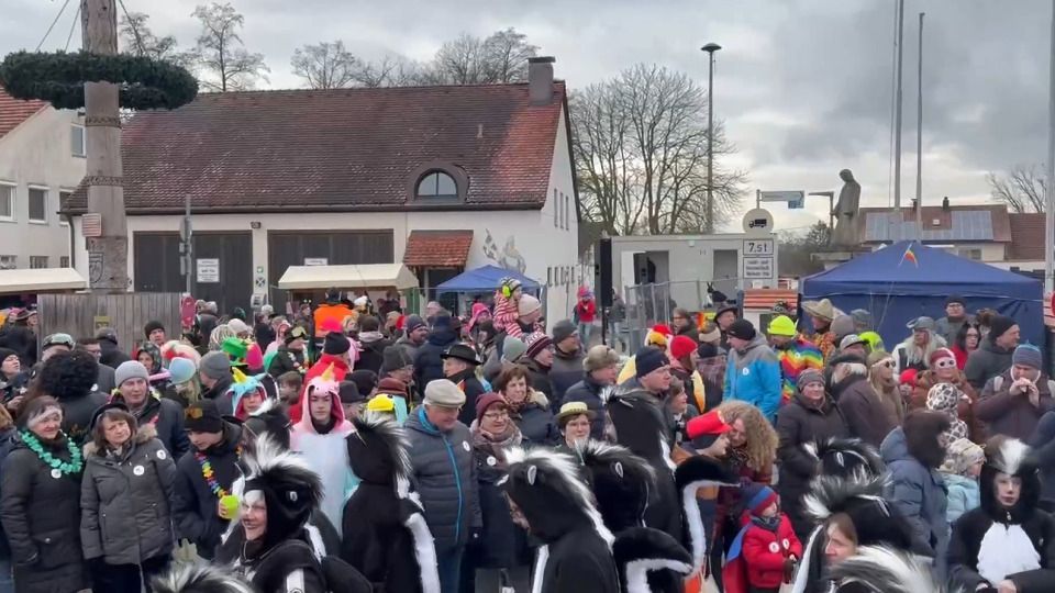 Video: Faschingsumzug in Waidhofen