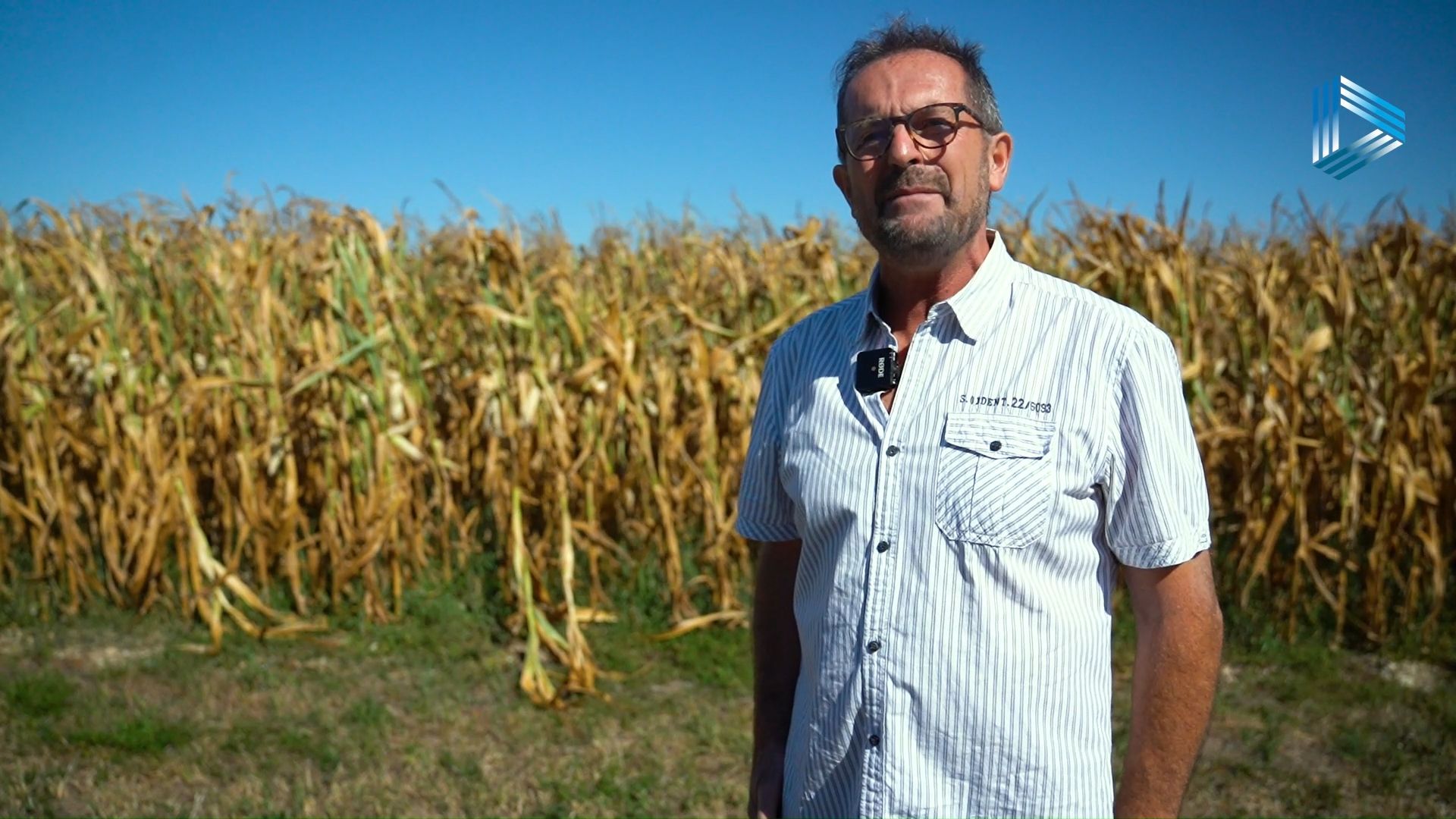 Video: Hitze: Landwirt Josef Hopper zeigt wie sich die Dürre auf seine Maisfelder auswirkt