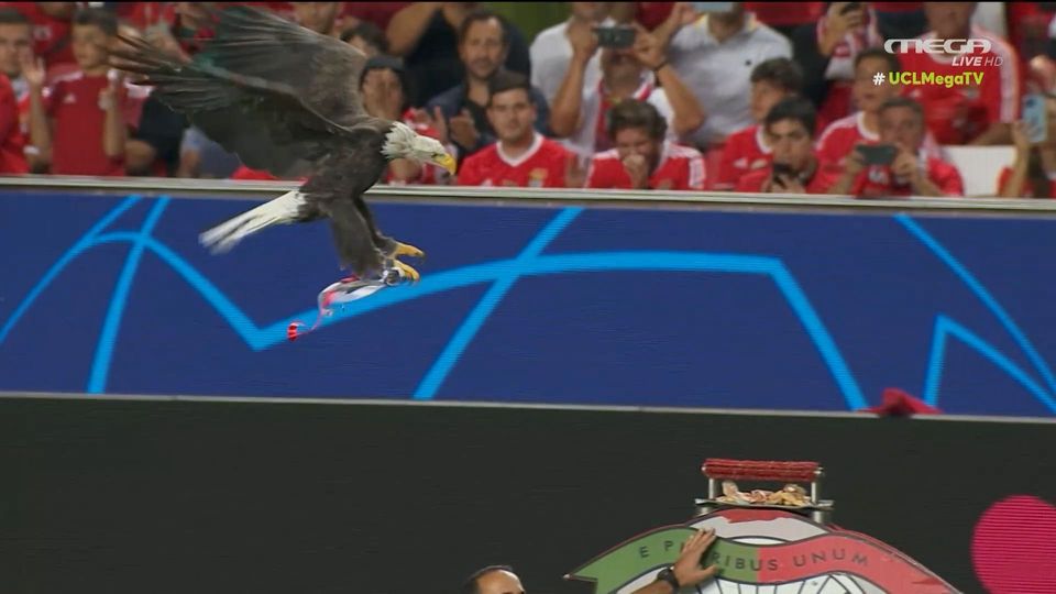 Φανταστική ατμόσφαιρα στο Ντα Λουζ (video)