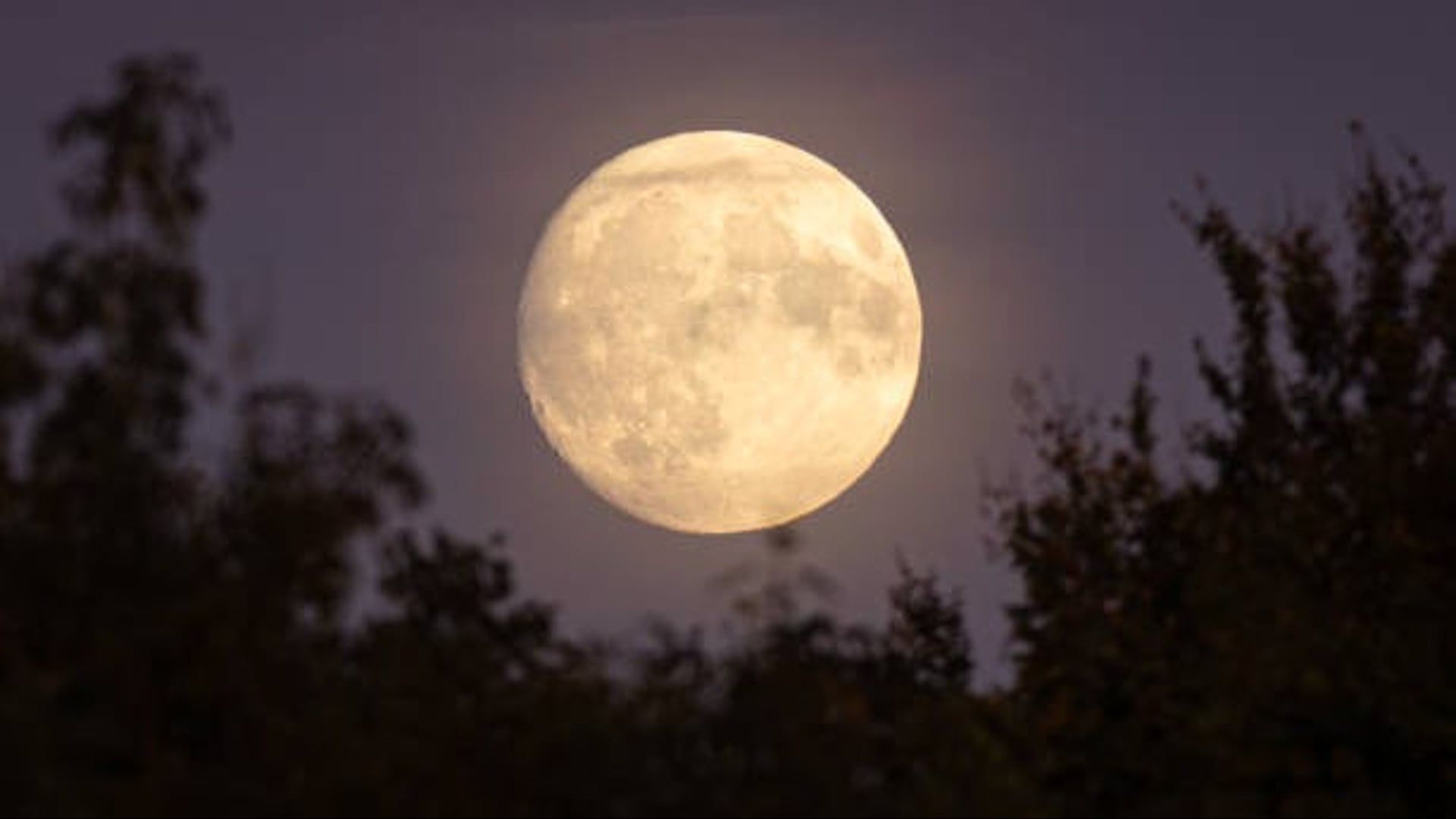 Die beste Zeit, um den größten Supermond des Jahres im Oktober zu sehen