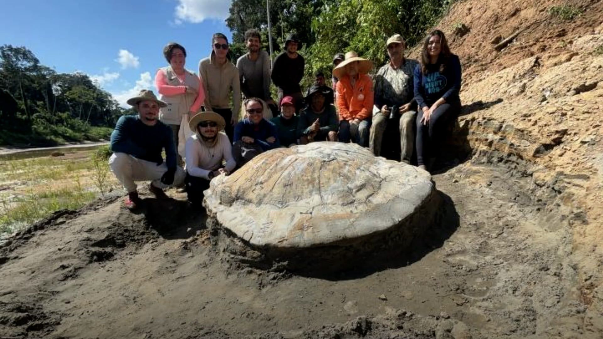 Video: Versteinerter Panzer einer Riesenschildkröte im Amazonas gefunden