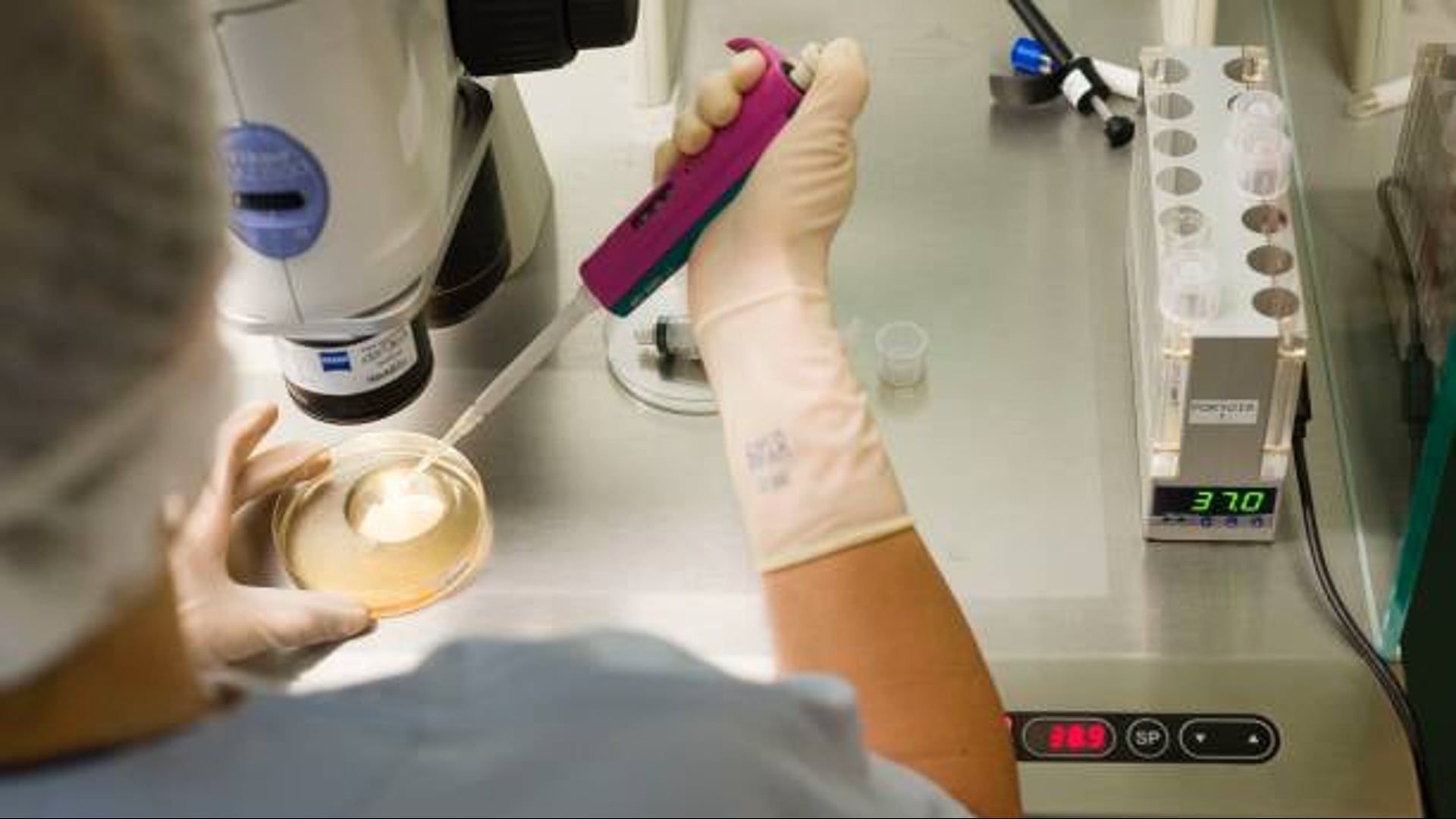 Video: 8 Babys im Vereinigten Königreich mit 3-Personen-IVF-Technik geboren