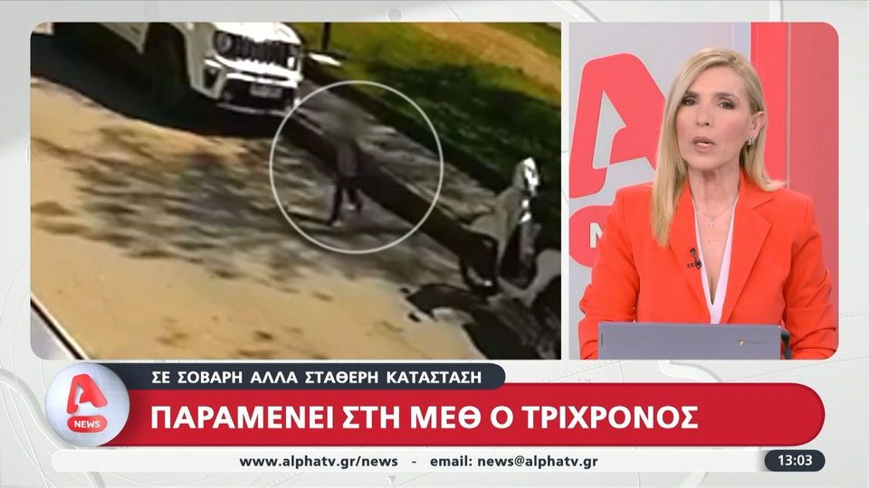 10 / 10: Παραμένει στη ΜΕΘ ο 3χρονος - Αφέθηκε ελεύθερος ο 22χρονος οδηγός