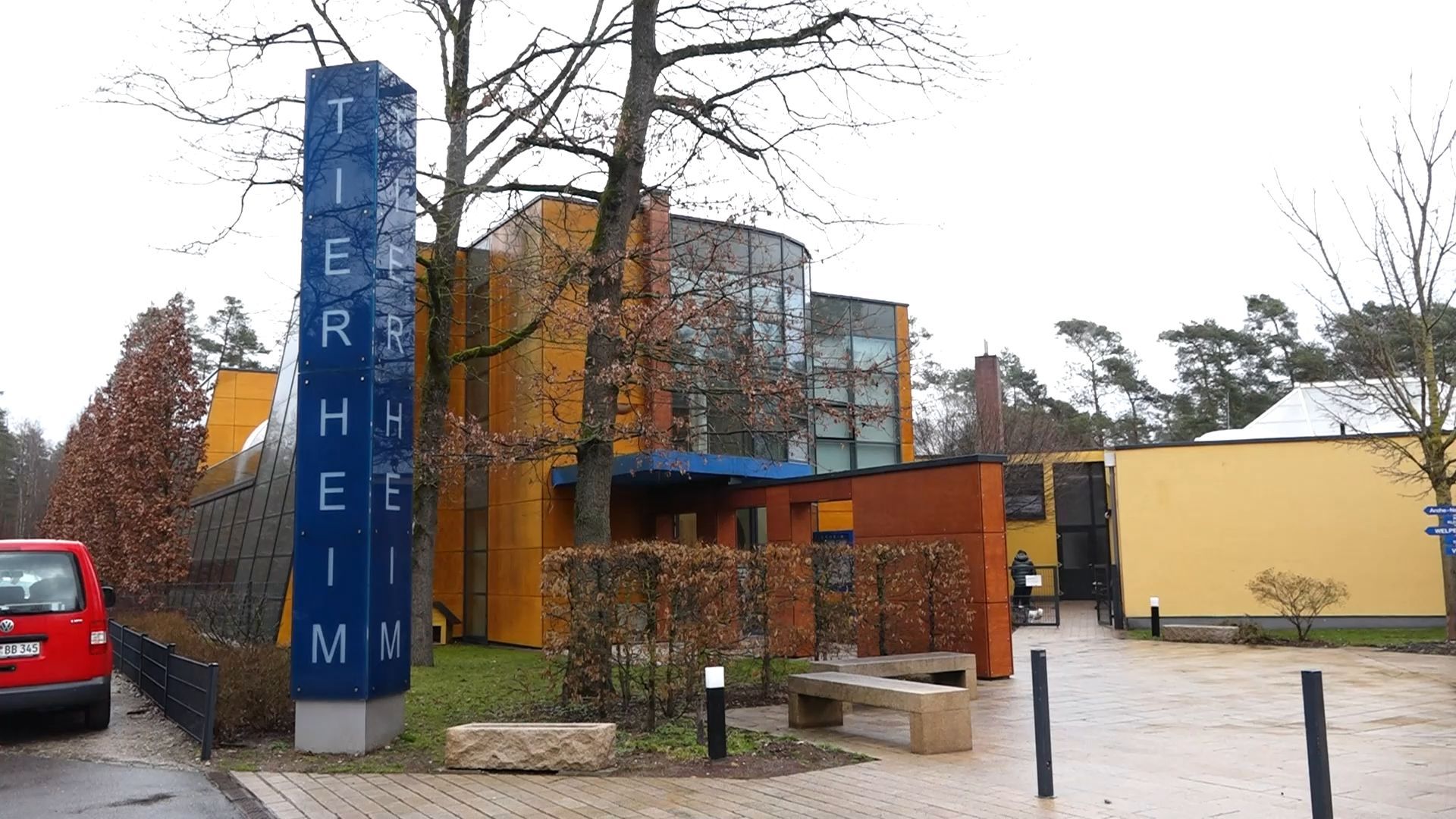 Video: Tierschutz in Gefahr: Tierheim Nürnberg ohne Fördermittel