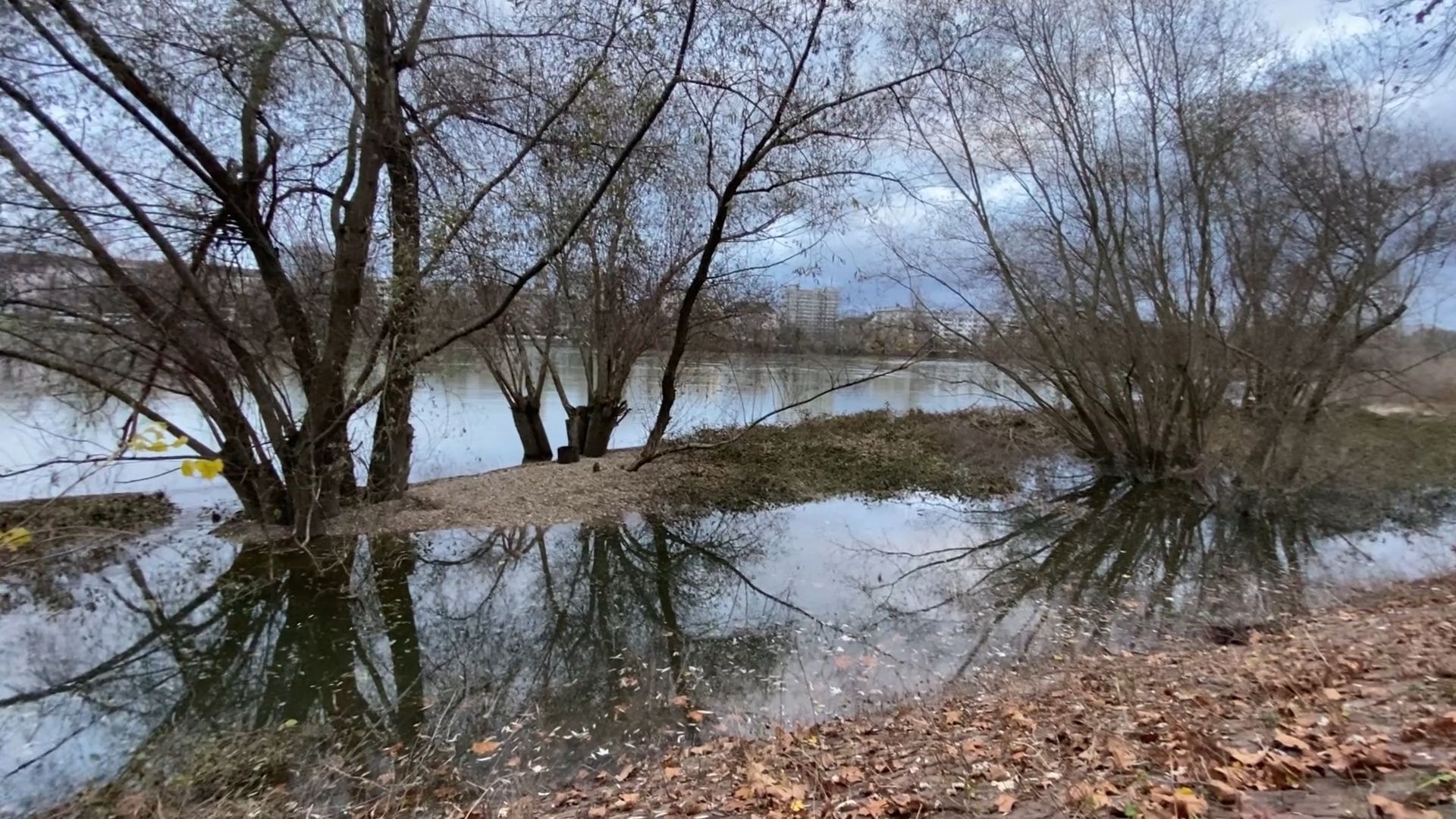 Hochwasser am Rhein in Ludwigshafen