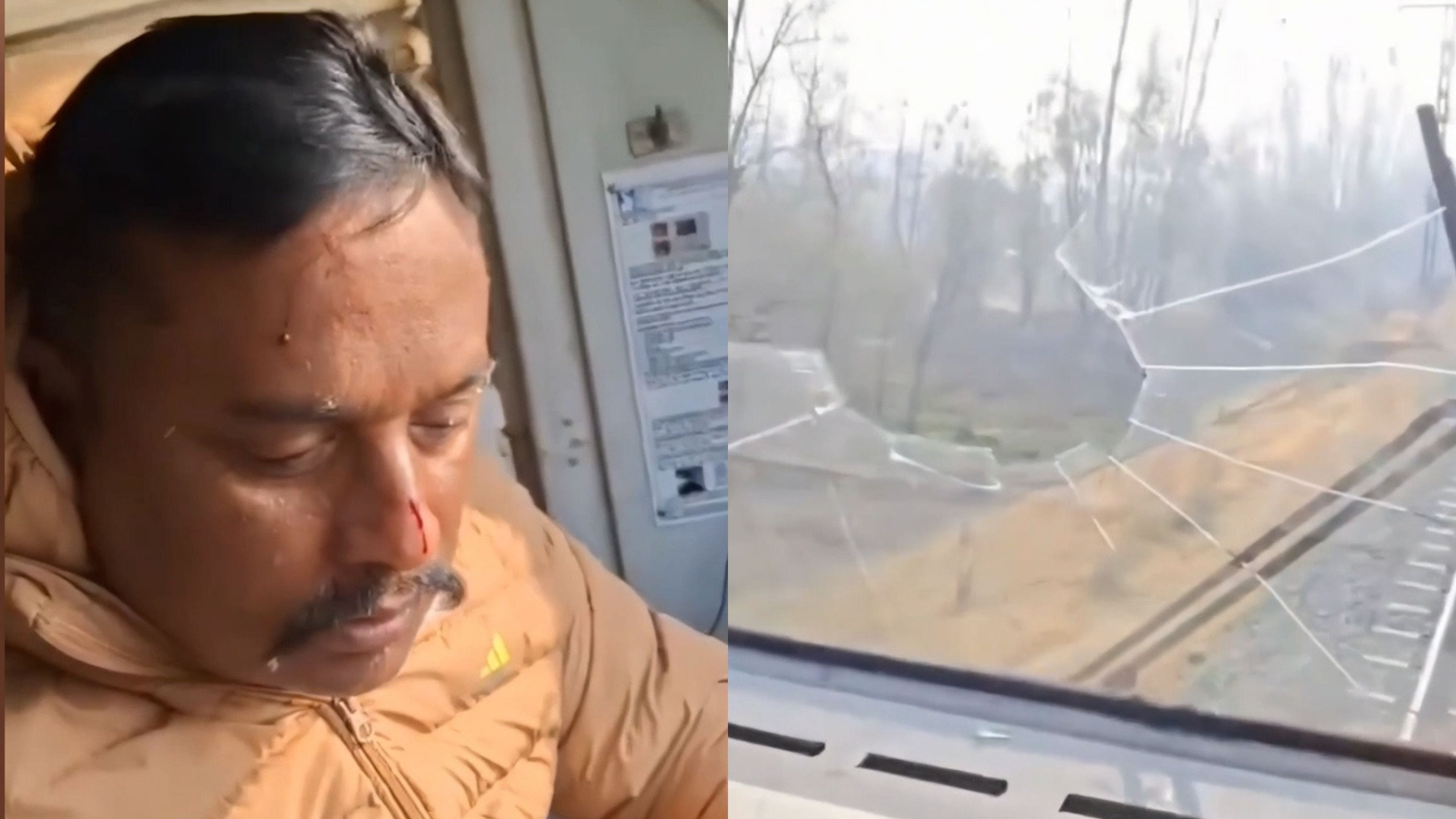 Video: Der Adler durchbricht das Fenster des fahrenden Zuges und verletzt den Fahrer