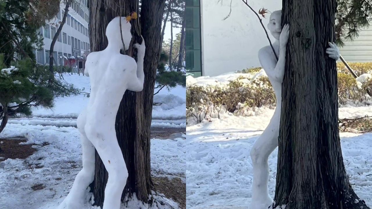 Video: Seltsamer Schneemann, der um einen Baum herumspäht