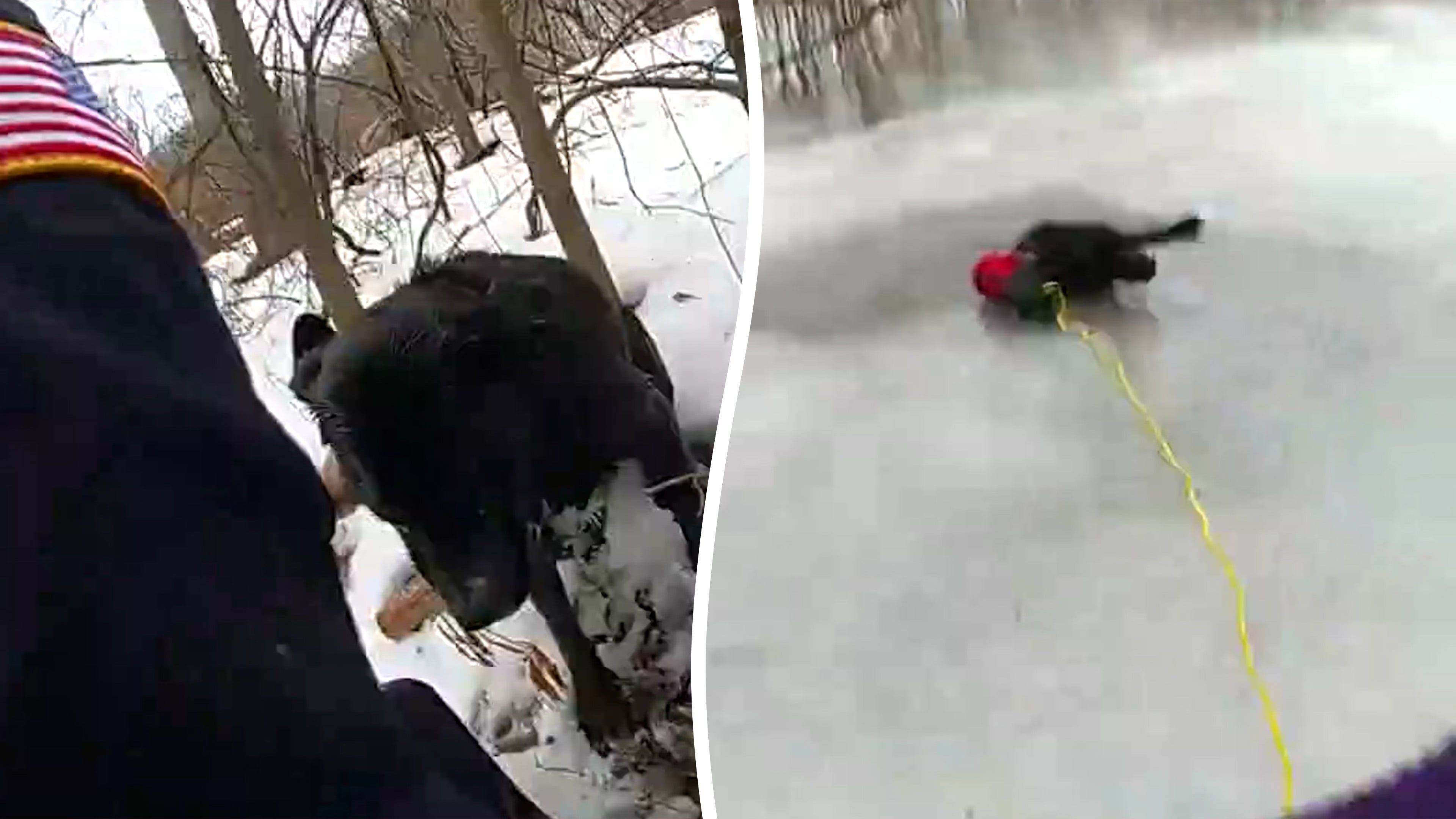 Video: Hund und Besitzerin nach Sturz in zugefrorenen Kanal gerettet