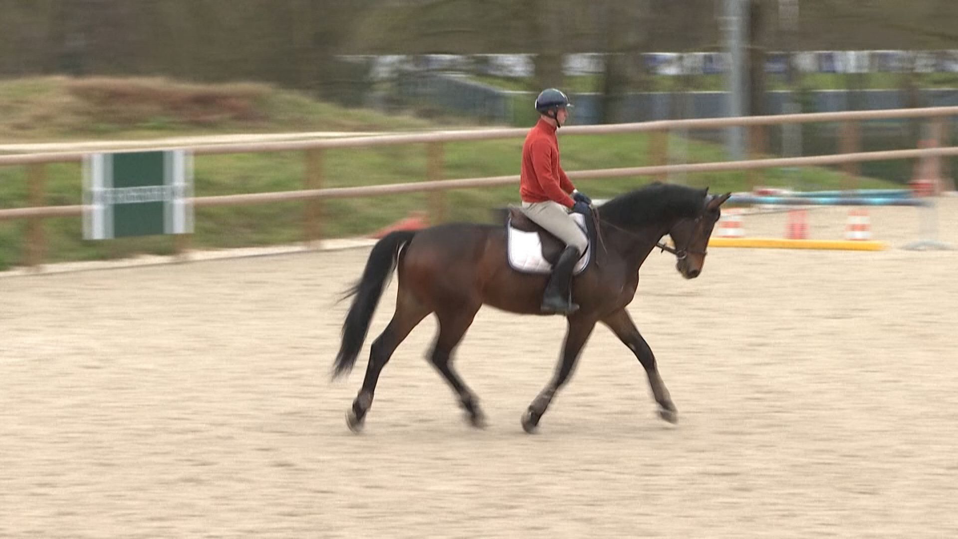 Versailles Reconnects with Equestrian History via Olympics